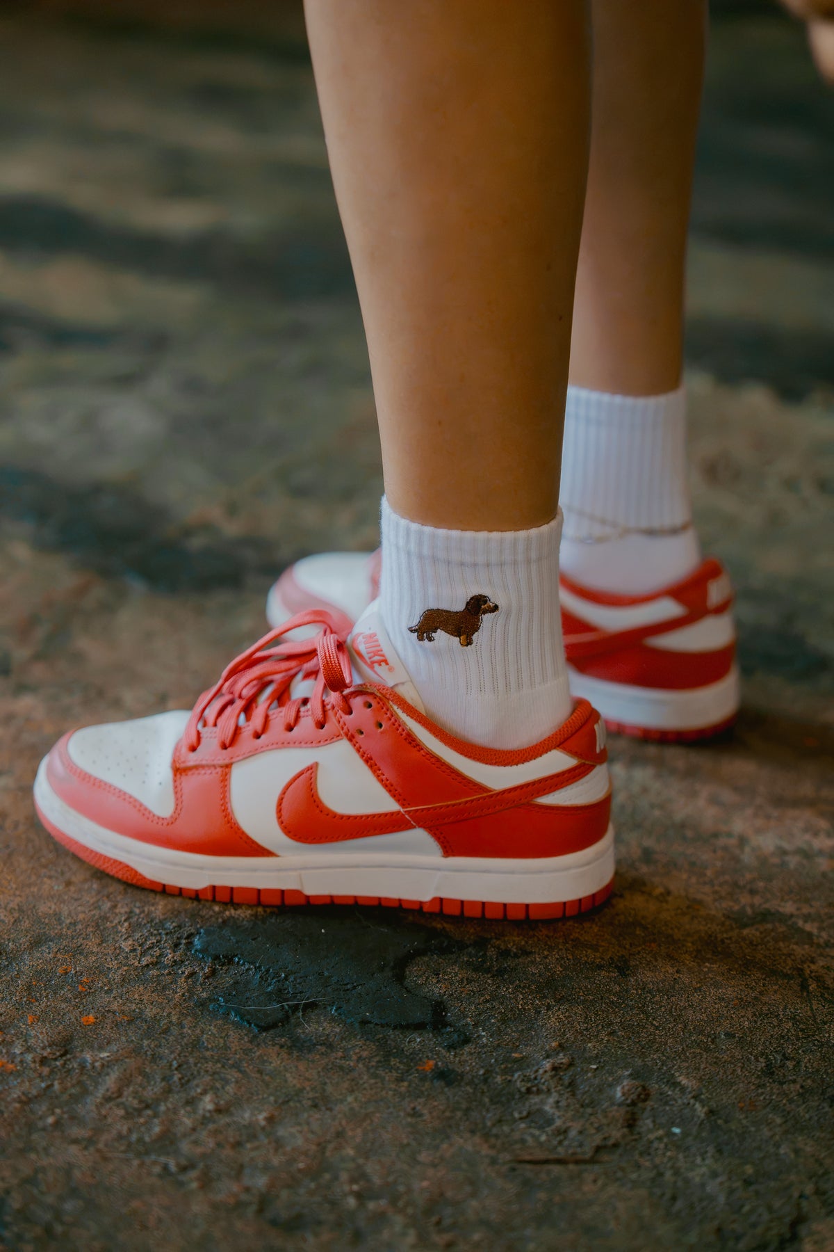 Embroidered Chocolate and Tan Dachshund Sock